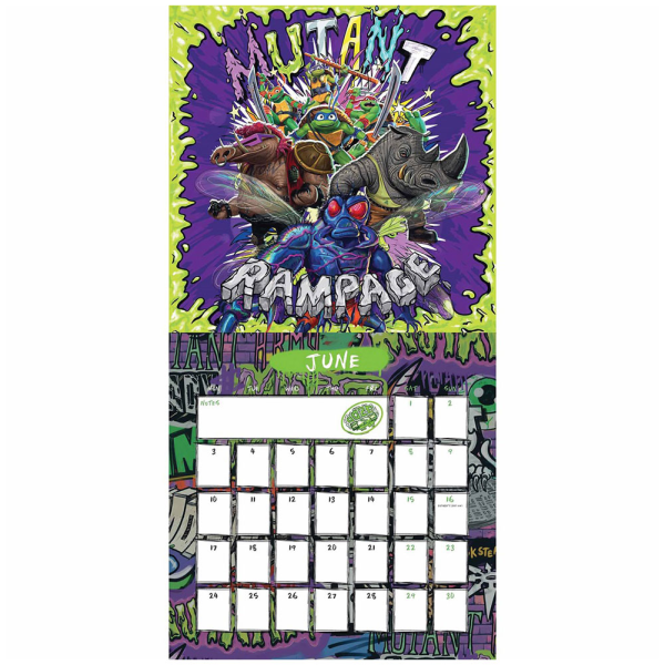 Teenage Mutant Ninja Turtles 2024 Väggkalender One Size Grön/ Green/Black/Purple One Size