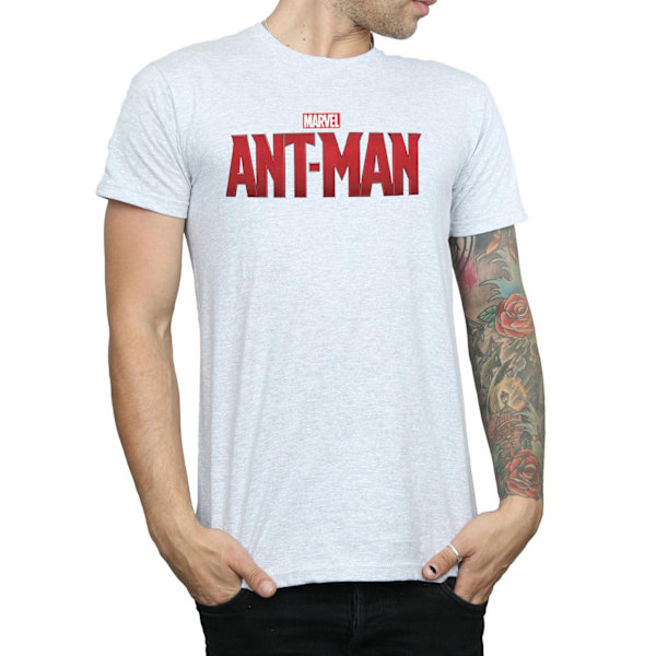 Marvel Ant-Man Filmlogotyp T-shirt S Sports Grey för män Sports Grey S