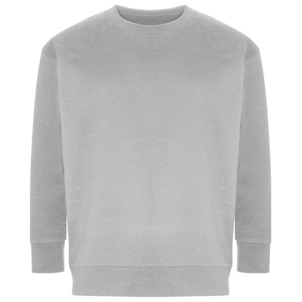 Ecologie Unisex Vuxen Crater Återvunnen Sweatshirt M Grå Grey M