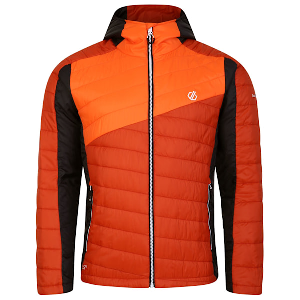 Dare 2B Touring Vadderad Jacka Herr S Rooibos Tea/Puffins Orange Rooibos Tea/Puffins Orange S