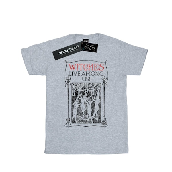 Fantastiska vidunder Kvinnor/Damer Häxor Lever Bland Oss Bomull Pojkvän Sports Grey XL