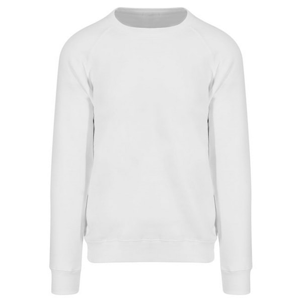 Awdis Mens Graduate Heavyweight Sweatshirt S Arctic White Arctic White S