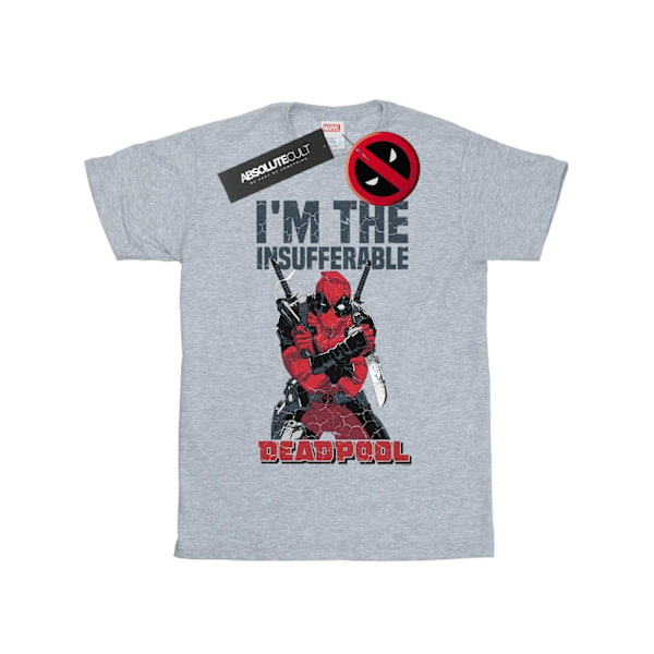 Marvel Herr Deadpool I´m The Insufferable T-Shirt 3XL Sports Grå Sports Grey 3XL