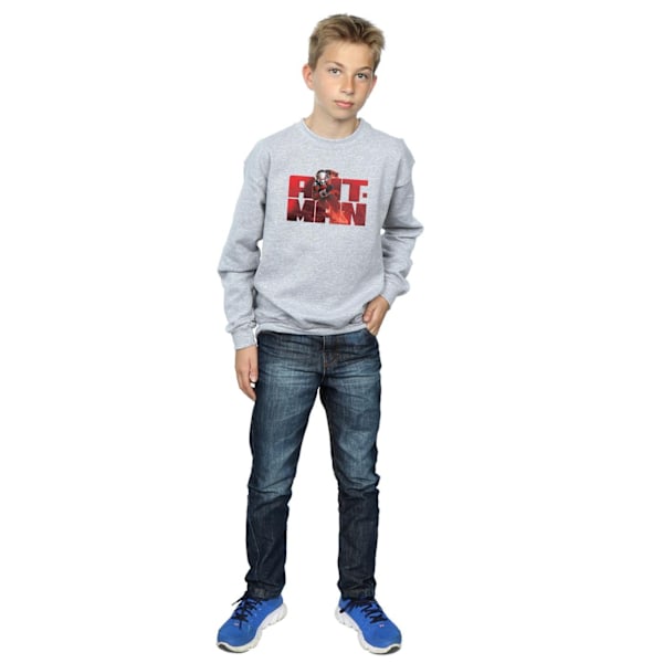 Marvel Boys Ant-Man Löpartröja 5-6 År Sports Grey Sports Grey 5-6 Years