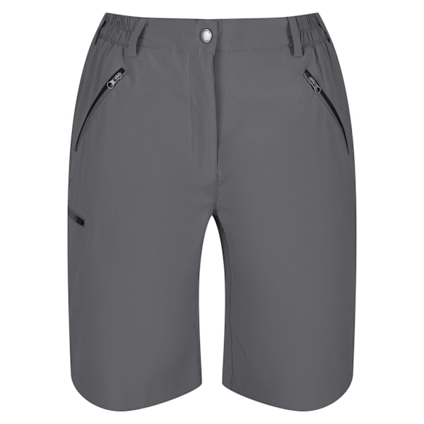Regatta Dam/Dam Xert Stretch Shorts 42R Seal Grey Seal Grey 42R