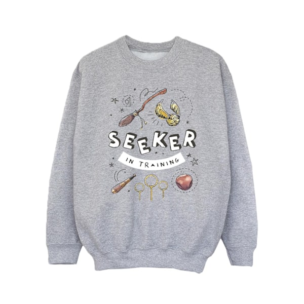 Harry Potter Girls Seeker In Training Sweatshirt 7-8 år Spor Sports Grey 7-8 Years