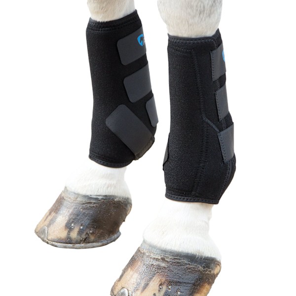 ARMA Sports Horse Boots X Full Black Black X Full