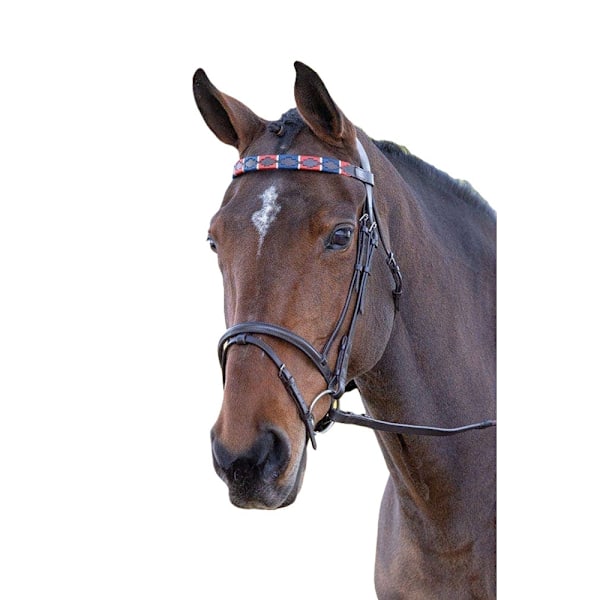 Blenheim Läder Polo Häst Pannband Cob Röd/Marinblå Red/Navy Cob