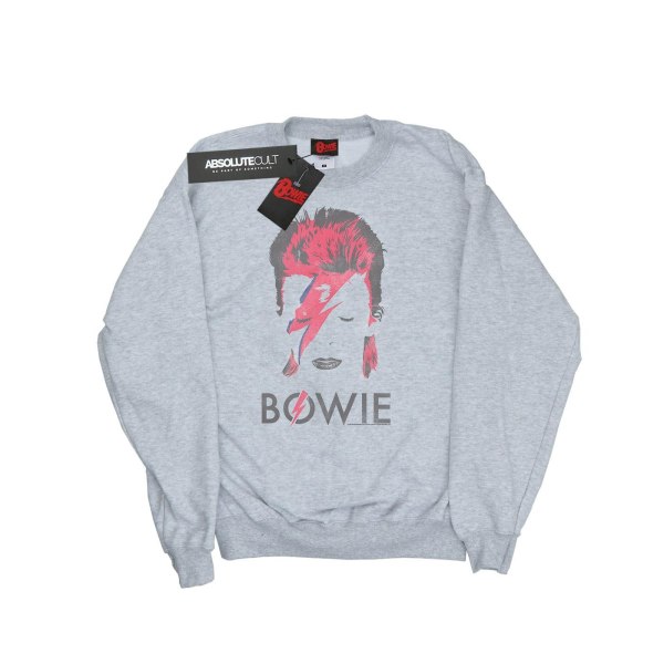David Bowie Girls Aladdin Sane Distressed Sweatshirt 12-13 år Sports Grey 12-13 Years