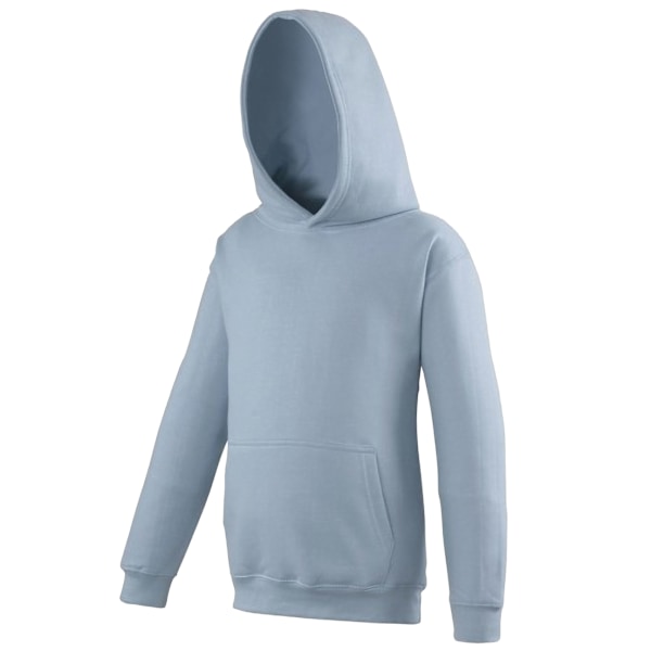 Awdis Barn Unisex Huvtröja / Hoodie / Skolkläder 7-8 År Sky Blue 7-8 Years