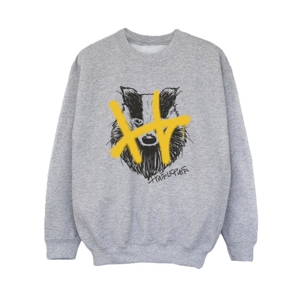 Harry Potter Boys Hufflepuff Pop Spray Sweatshirt 5-6 år Spo Sports Grey 5-6 Years