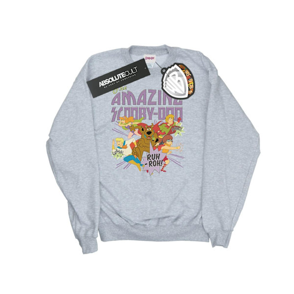 Scooby Doo Herr The Amazing Scooby Sweatshirt 3XL Sports Grey Sports Grey 3XL