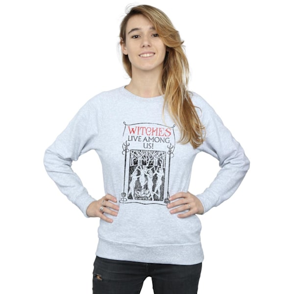 Fantastiska vidunder Kvinnor/Damer Häxor Lever Bland Oss Sweatshirt Heather Grey S