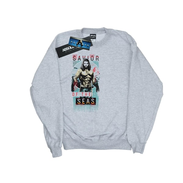 DC Comics Dam/Dam Aquaman Frälsare Av Haven Sweatshirt Sports Grey L