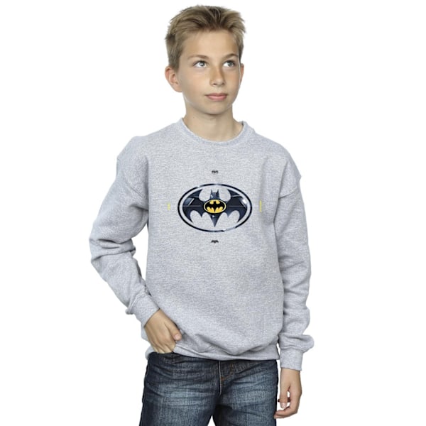 DC Comics Boys The Flash Batman Metal Logo Sweatshirt 9-11 År Sports Grey 9-11 Years