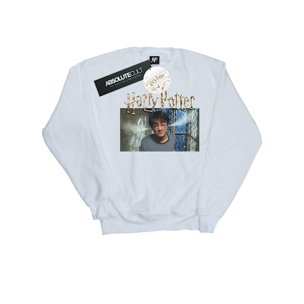 Harry Potter Herr Steam Ears Sweatshirt S Vit White S