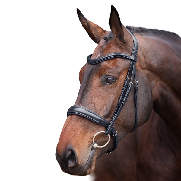 Velociti Lusso Elite Läder Vadderat Häst Cavesson Träns Ponny Black Pony