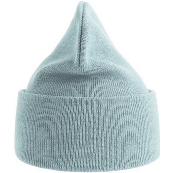 Atlantis Unisex Vuxen Ren Beanie i 100 % Återvunnet Material, En Storlek, Ljusblå Light Blue One Size
