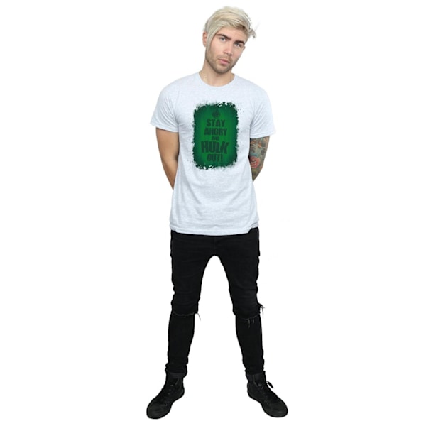 Marvel Herr Hulk Stay Angry T-Shirt S Sports Grey Sports Grey S