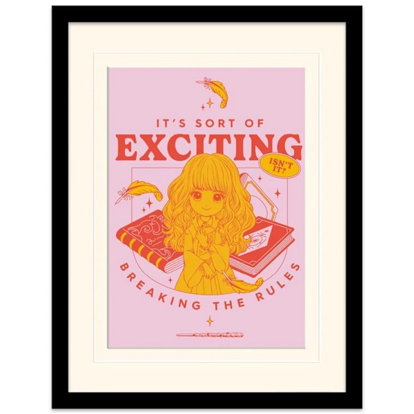 Harry Potter Witty Witchcraft-Snitch Possible Print 40cm x 30cm Pink/Red/Yellow 40cm x 30cm