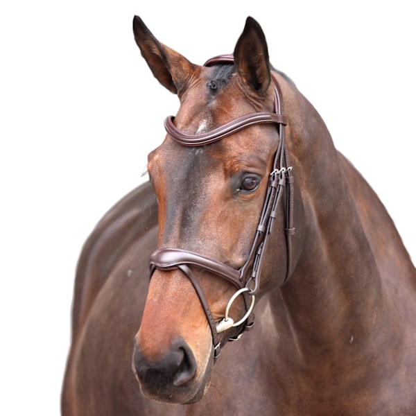 Velociti Lusso Elite Läder Häst Flash Bridle Ponny Havana Havana Pony