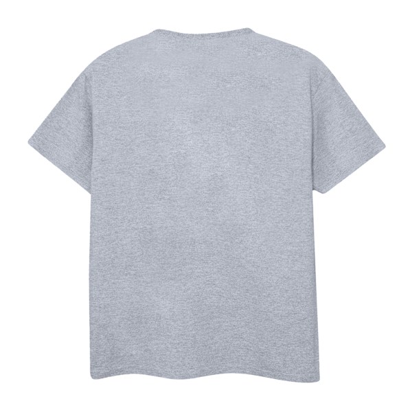 Friends Boys Retrospective Still T-Shirt 9-11 år Sports Grey Sports Grey 9-11 Years