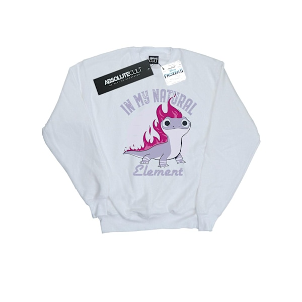 Disney Herr Frozen 2 Salamander Bruni Element Sweatshirt M Vit White M