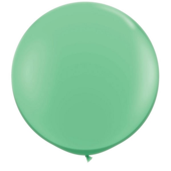 Qualatex 5 tum enkla latexpartyballonger (förpackning om 100) (48 färger) Winter Green One Size