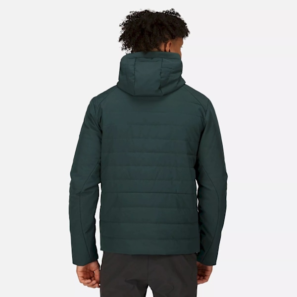 Regatta Daxford Full Zip Jacka M Green Gables Green Gables M