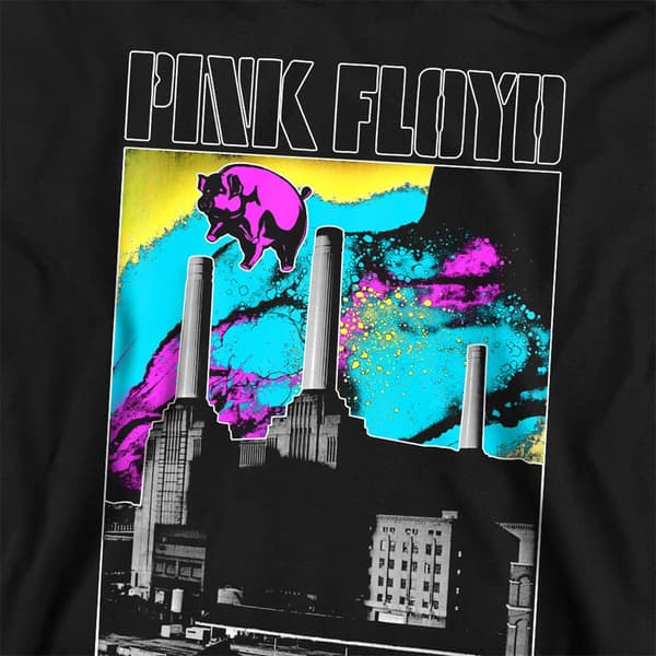 Pink Floyd Barn/Barn Djur Himmel Pull Over Hoodie 5-6 År Black 5-6 Years