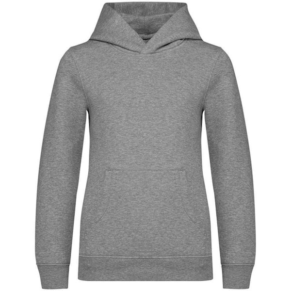 Native Spirit Barn/Kids Hoodie 4-6 År Månsten Grå/Heather Moon Grey/Heather 4-6 Years
