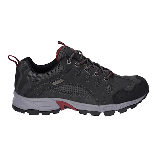 Hi-Tec Auckland Lite Suede Walking Shoes för män 8 UK Graphite Gre Graphite Grey/Dark Red 8 UK