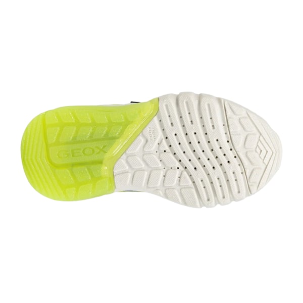 Geox Pojkar Ciberdron Lysande Gymnastikskor 5 UK Barn Royalblå/Lime Royal Blue/Lime 5 UK Child