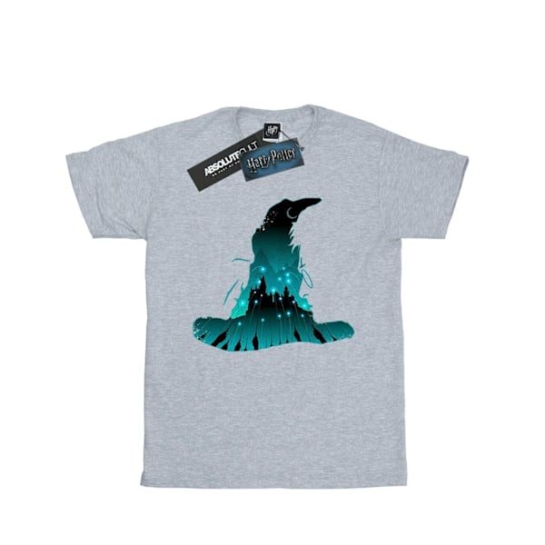 Harry Potter Boys Hogwarts Silhouette T-Shirt 5-6 år Sport Sports Grey 5-6 Years