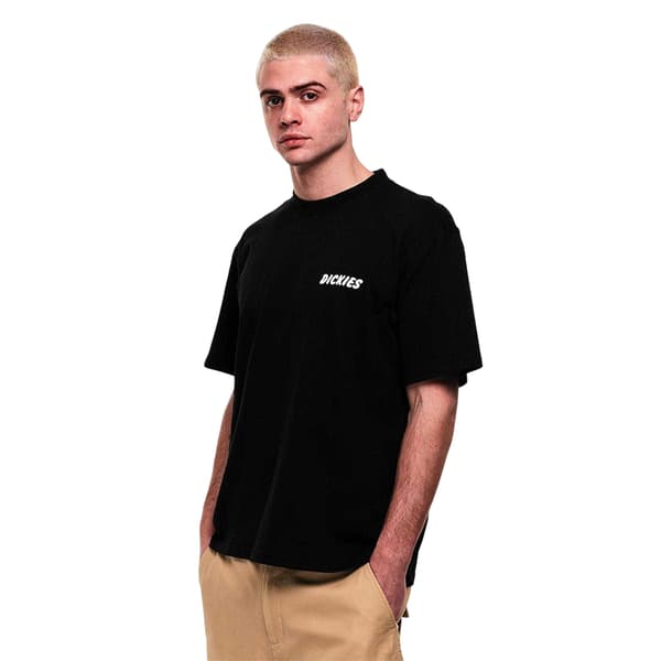 Dickies Herr Logotyp T-shirt M Svart Black M