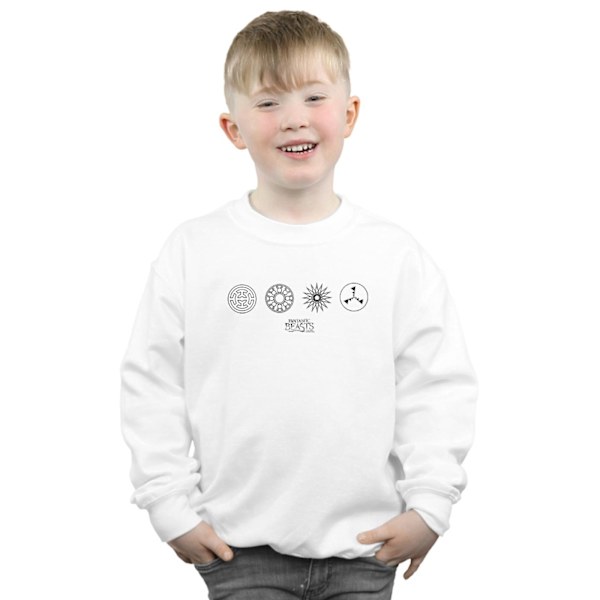 Fantastiska vidunder Pojkar Cirkulära ikoner Sweatshirt 5-6 år Vit White 5-6 Years