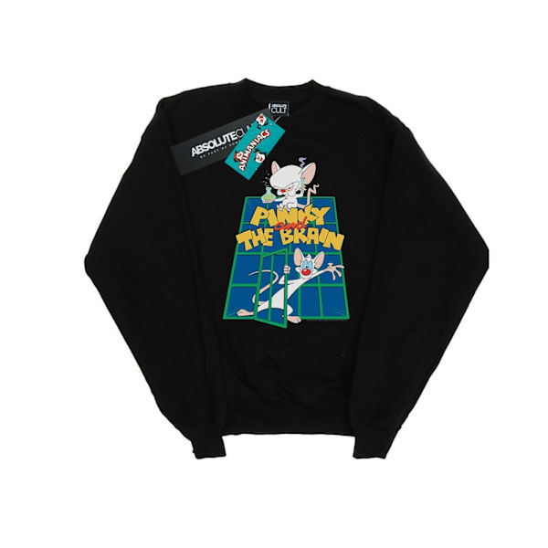 Animaniacs Girls Pinky And The Brain Laboratory Sweatshirt 3-4 Black 3-4 Years
