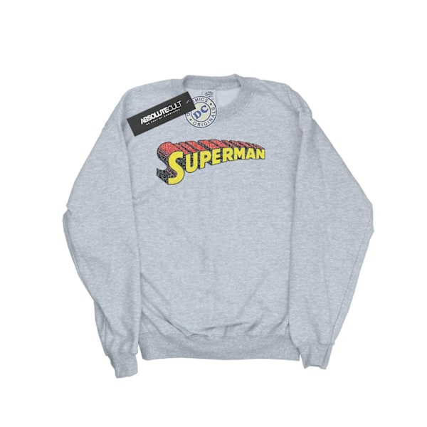 DC Comics Dam/Kvinnor Superman Teleskopisk Crackle Logo Sweatshirt Heather Grey XL