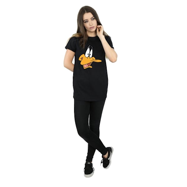 Looney Tunes Dam/Damer Daffy Duck Ansikte Bomull Pojkvän T-Shirt S Black S