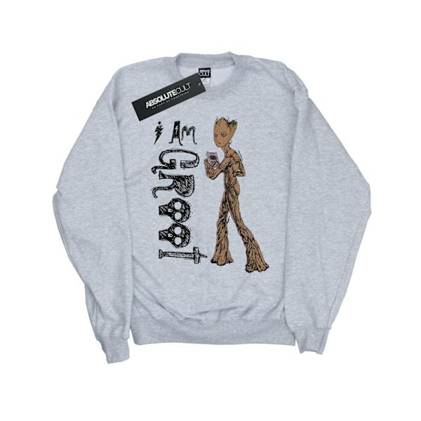 Avengers Infinity War Girls I Am Teenage Groot Sweatshirt 5-6 år Sports Grey 5-6 Years