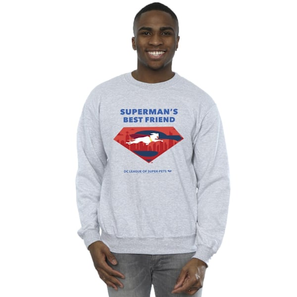 DC Comics DC League Of Super-Pets Superman´s Bästa Vän Sweatshirt XXL Sports Grey Sports Grey XXL