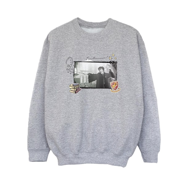 Harry Potter Boys Harry Expelliarmus Sweatshirt 3-4 år Sport Sports Grey 3-4 Years