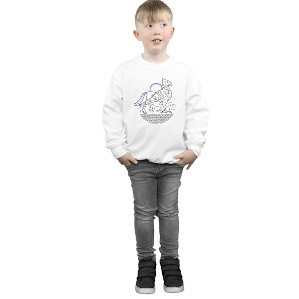 Harry Potter Pojkar Buckbeak Linje Konst Sweatshirt 7-8 År Vit White 7-8 Years