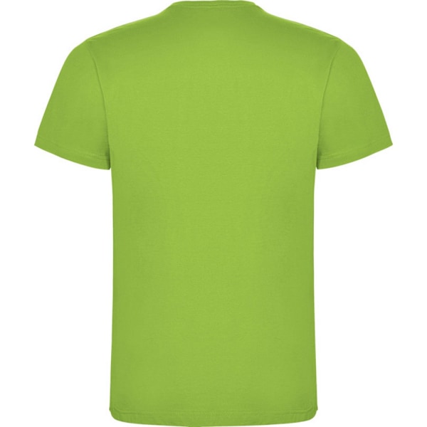 Roly Barn/Kids Dogo T-shirt 7-8 år Oasis Grön Oasis Green 7-8 Years