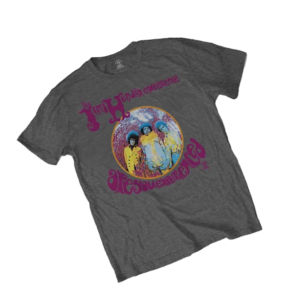 Jimi Hendrix Unisex Vuxen Are You Experienced T-Shirt L Grå Grey L