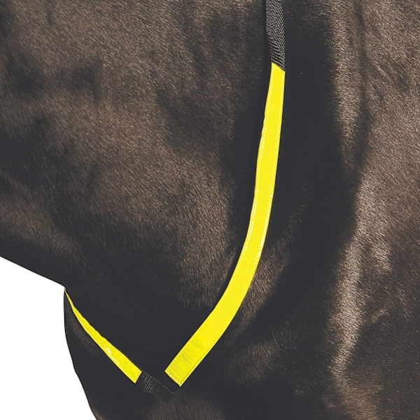 Roma Reflexbröstplatta En Storlek Gul Yellow One Size