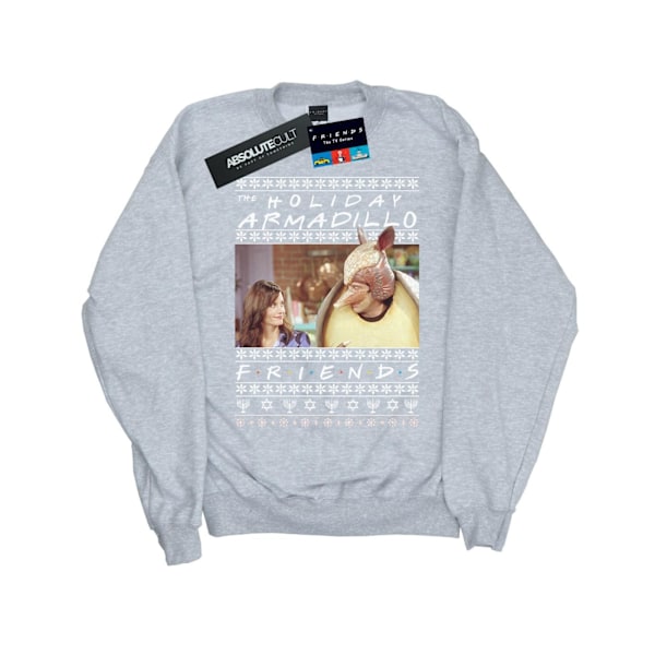 Friends Girls Fair Isle Holiday Armadillo Sweatshirt 7-8 år Sports Grey 7-8 Years