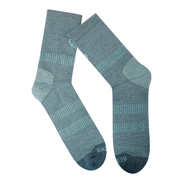 Dare 2B Unisex Vuxen Merinoull Vandringsstrumpor 39-42 Aquife Aquifer/Element Grey 6 UK-8 UK