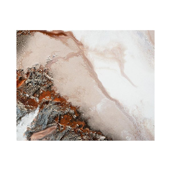 Petra Meikle De Vlas Mornington Blush Canvas Print 40cm x 50cm Brown/White 40cm x 50cm