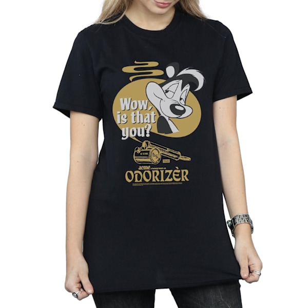Looney Tunes Dam/Damer Pepe Le Pew Odorizer Bomull Pojkvän Black S